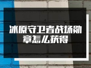 冰原守卫者勋章攻略：揭秘战场勋章获取方法与技巧