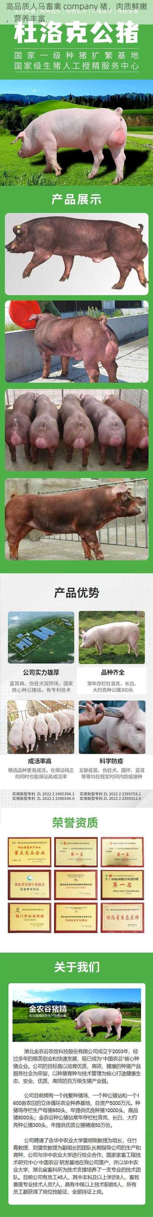 高品质人马畜禽 company 猪，肉质鲜嫩，营养丰富