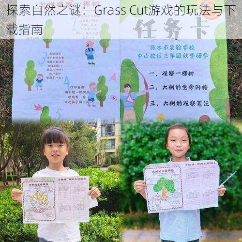 探索自然之谜：Grass Cut游戏的玩法与下载指南