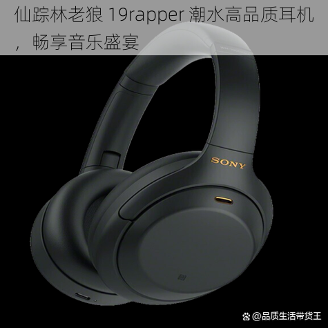 仙踪林老狼 19rapper 潮水高品质耳机，畅享音乐盛宴