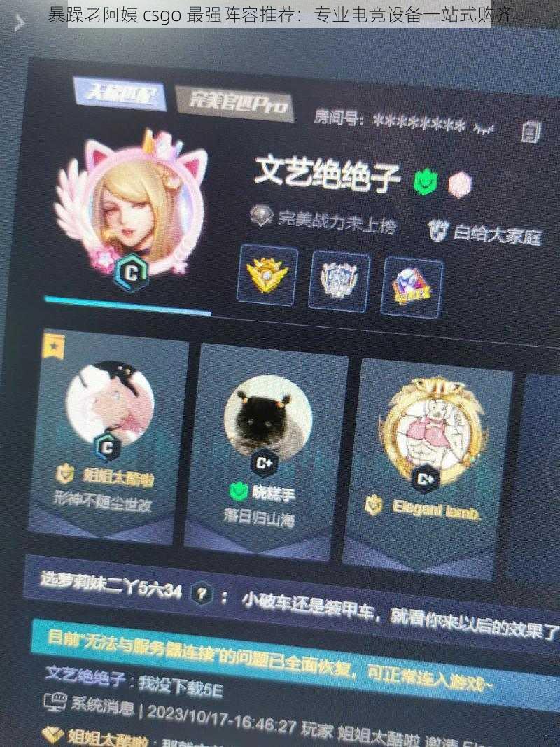 暴躁老阿姨 csgo 最强阵容推荐：专业电竞设备一站式购齐