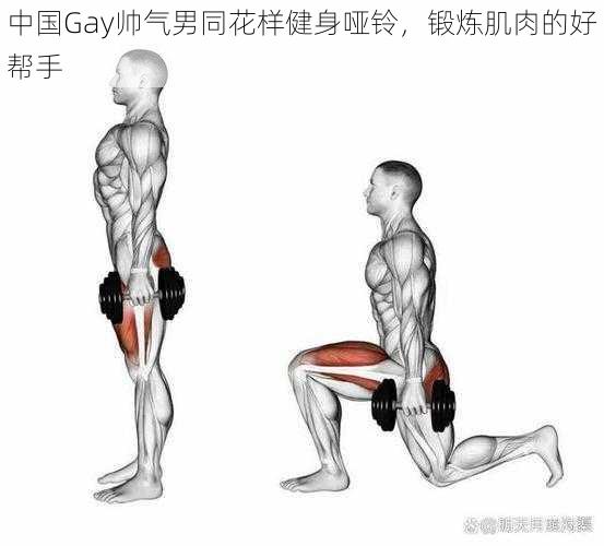 中国Gay帅气男同花样健身哑铃，锻炼肌肉的好帮手