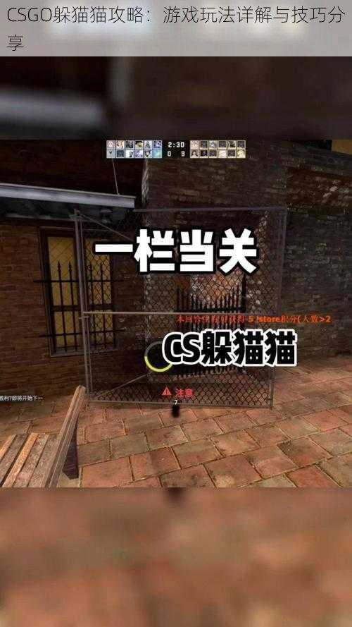 CSGO躲猫猫攻略：游戏玩法详解与技巧分享